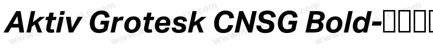 Aktiv Grotesk CNSG Bold字体转换